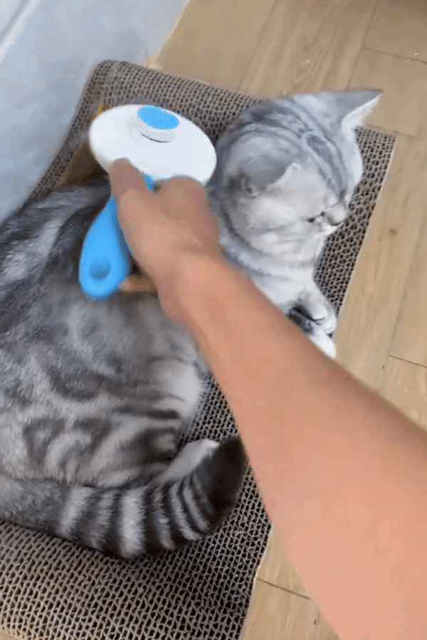 Cat Brush,Dog Brush, Pet Hair Cleaner Brush,Pet Grooming Cat Dog Brush,Pet Comb-Cat Comb For Kitten Massage Removes Loose Fur-Cat Grooming Brush Long Short Hair Cats Dogs Pet Brush