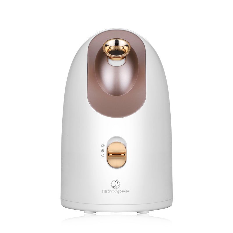 Hot and Cold Face Steamer