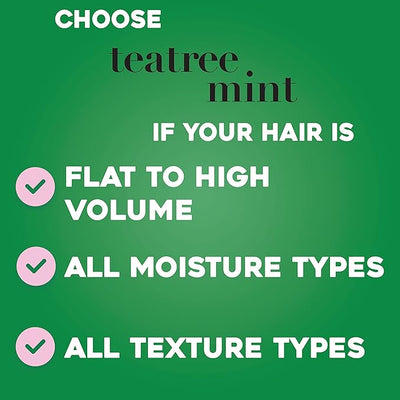Mint Shampoo (Original)