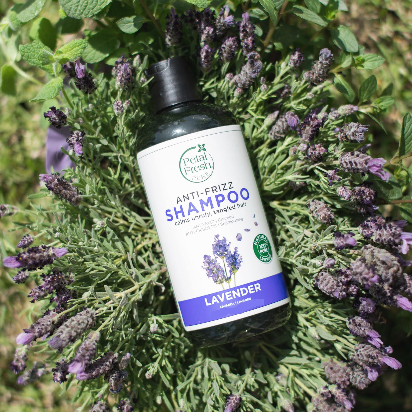 Anti-Frizz Shampoo