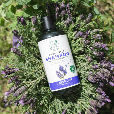 Anti-Frizz Shampoo